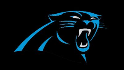 panthers13