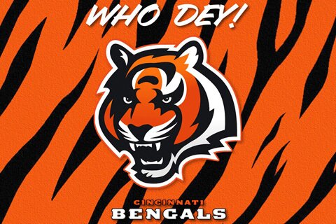 cincinnati-bengals-hide-480x320