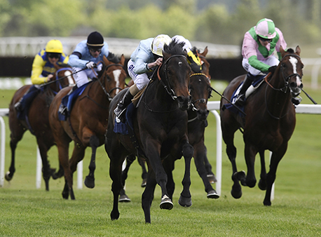 gto_horseracing