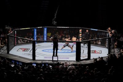 UFC Fighting Night Preview