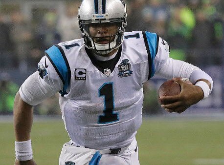 panthers_newton