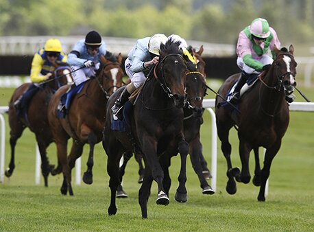 gto_horseracing